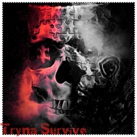 Tryna Survive - Single - TB DaGunSlanga