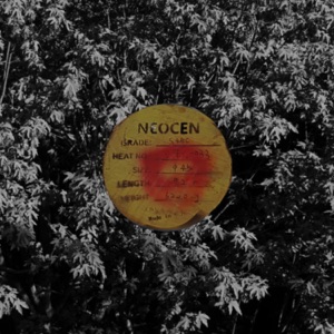 Circles+Parachute