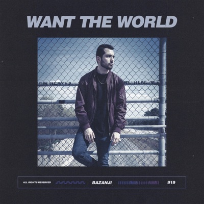 Want the World - Single