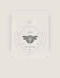 Escucha a Sex Of Insects, mira videos musicales, lee su biografía, consulta las fechas de las gira y más.