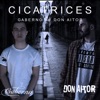 Cicatrices (feat. Don Aitor) - Single