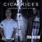 Cicatrices (feat. Don Aitor) - Gaberno lyrics