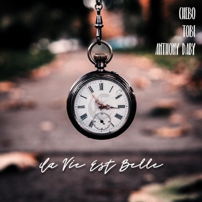 La vie est belle (feat. Tobi & Anthony Daby) - Single