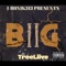 BiiG (feat. TreeLiive) - I-Ronik313 lyrics