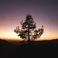 Stargazing in the Fields