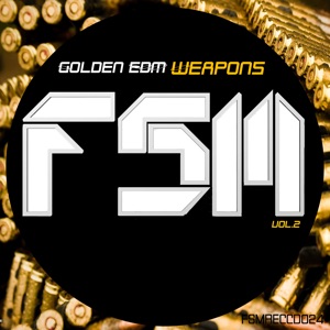 Golden Edm Weapons, Vol. 2