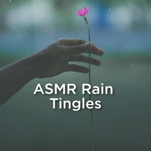 Asmr Rain Tingles