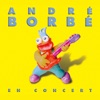 André Borbé en concert (Live)