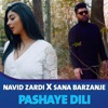 Pashaye DiLi - Single