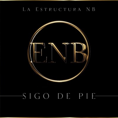Sigo De Pie - Single