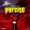 Precise - Single