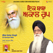 Ik Baba Akaal Roop - Bhai Avtar Singh