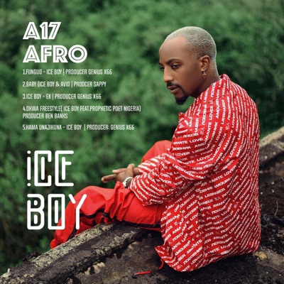 A17 Afro - EP
