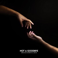 Not a Goodbye - Single - Abraham Moreno & ZEEVA