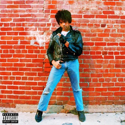 Dirty Dancer - Single