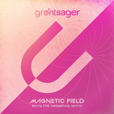 Magnetic Field (Sorry the Hedgehog Remix) - Single
