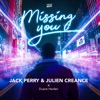 Icon Missing You - Single