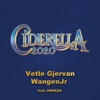 Ciderella 2020 (feat. Hikkas) - Single