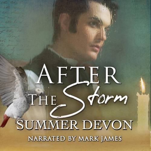 After the Storm (Unabridged) cover