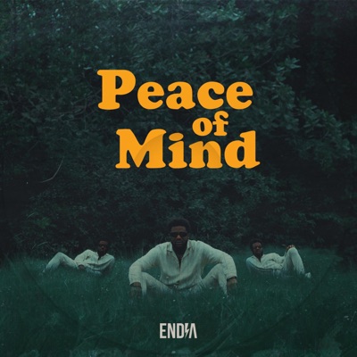 Peace of Mind
