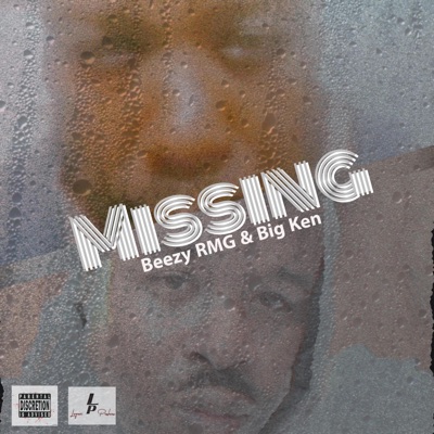 Missing (feat. Big Ken) - Single