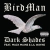 Dark Shades (feat. Lil Wayne & Mack Maine) - Single