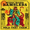 The Muddy Basin Ramblers - Quantum Reel