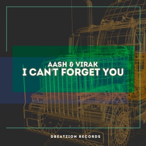 I Can't Forget You - Single