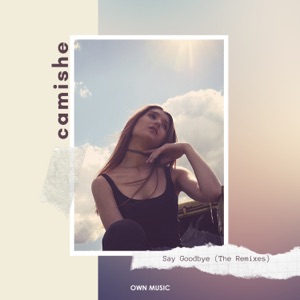 Say Goodbye (The Remixes) [Bonzana Remix] - Single