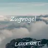 Leuchtkraft - Zugvogel