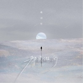 都是假的 戴羽彤