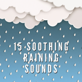15 Soothing Raining Sounds - Tropical Rainforest Music, Bird & Rain Relaxation - Mute with Rain Forest