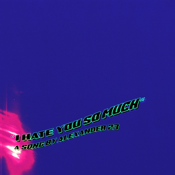 Cover artwork for I Hate You So Much
