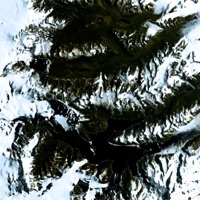 More - Single - Monti & WQLFF