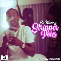 Stripper Poles - Single - Ro Money