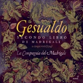 Gesualdo, Nenna & Others: Madrigals artwork