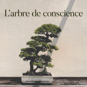 L’arbre de conscience
