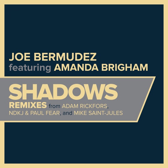 Cover artwork for Shadows (feat. Amanda Brigham)
