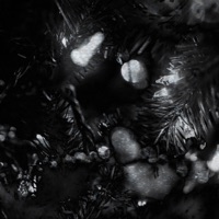 Unknown - EP - grayera