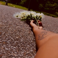 Don't Shoot - Single - Jordan Occasionally