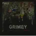 Grimey (Dub Mix) song reviews