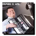Culpable el Sapo
