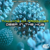 Deep in the Hub - Thulane Da Producer