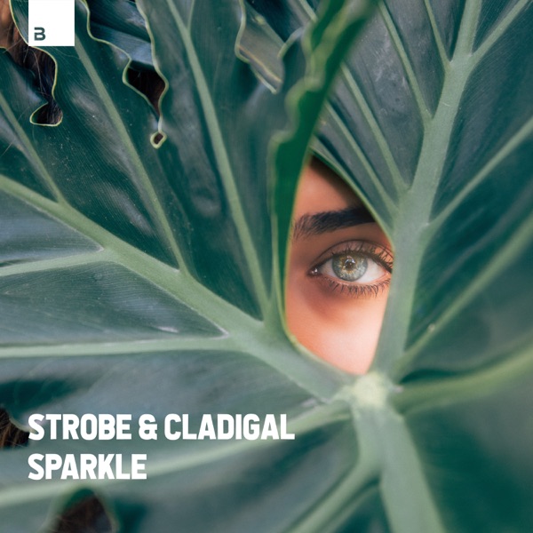 Sparkle - Single