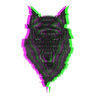 Shisha - Single - Prani