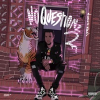 No Questionz 2 - Reek4Real