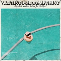 Waiting for Something (feat. PachiSquid) - Single - Bruce Hathcock & Joey Maker