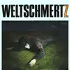 Mein Freund der Computer