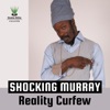 Reality Curfew - Single