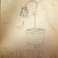 Wilted